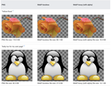 image2-speed-up-your-website-webp