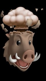 hog