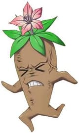 mandrake