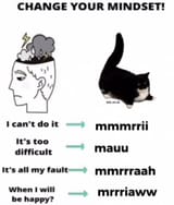 668327