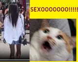 cat says sexooooooooooo