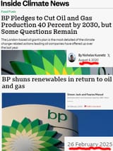 bp_pledges