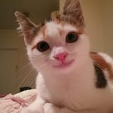1737716891522412