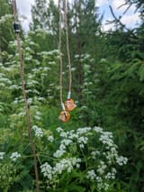 IMG_20250704_155441
