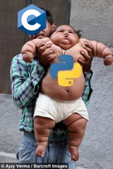 c and python