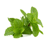 mint-leaf-5000530_640