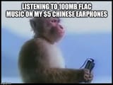 9zf0n8