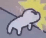 cat-head-bash