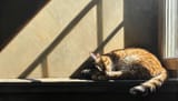 ComfyUI_temp_bvbbk_00077_
