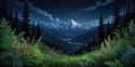 summer night_thumb.jpg