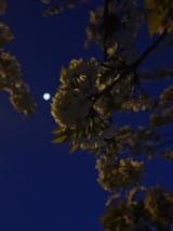 IMG_20250406_205412