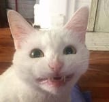 kawaii