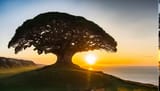 a fucking tree