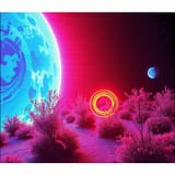 2_TSS1065399961
