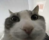 GdIkfcmbkAAJbDK