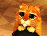 Puss+in+Boots+cute+expression-1530431615