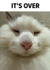 itsovercat
