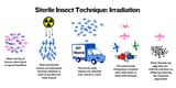 Irradiation Image