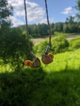 IMG_20250707_130317