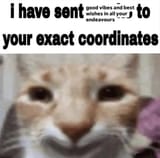 best_wishes