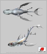 raitt-fish