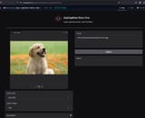 puppy help