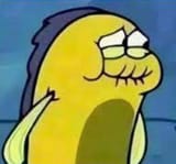 jkdkkkjkdkdjkkj