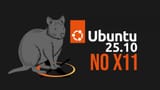 ubuntu2510-no-x11-1024x576