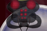 spiderking