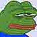 feels144p