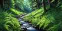 summer river 2_thumb.jpg
