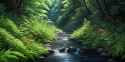 summer river 3_thumb.jpg