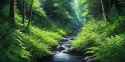 summer river 4_thumb.jpg