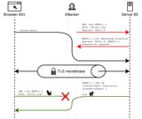 opossum-attack-overview