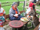 deaf_ch34_00035_