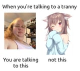 talkingtoatranny