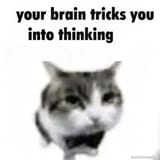 1727041686621098