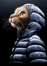 gato-capucha