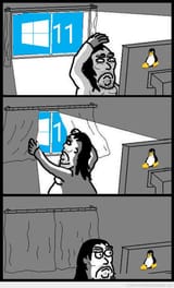 windows_11