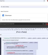 ugchrome_ublock