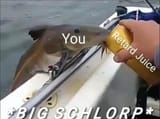 1681910367439695