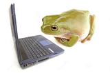 regex
