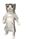 1752212013722-0