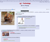 beaver