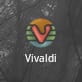vivaldi-custom