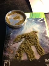 Master Kief