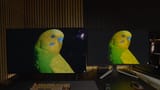 videoframe_391609