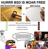 (((BSD)))