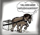 AnimalFarm