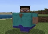 CHICKEN_JOCKEY